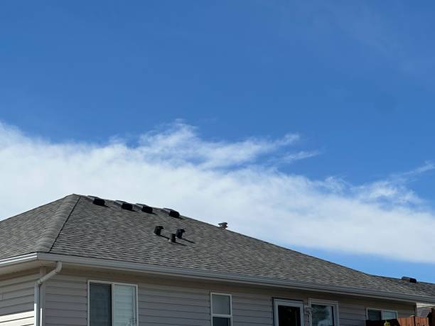 Best Green or Eco-Friendly Roofing Solutions  in Westbrook, ME